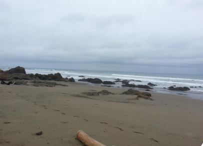 LOS SANTOS, PEDASI, LA ESTANCIA, PROPIEDAD CON FRENTE DE PLAYA.