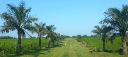 LOS SANTOS, PEDASI, LA ESTANCIA, PROPIEDAD CON FRENTE DE PLAYA.