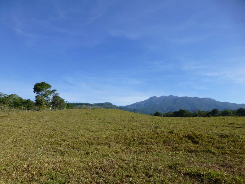 VERAGUAS, TORIO-MARIATO, TERRENO CON VISTA AL MAR