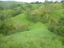 CHIRIQUI, BIJAGUAL, MOUNTAIN VIEW FARM.