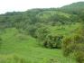 CHIRIQUI, BIJAGUAL, MOUNTAIN VIEW FARM.