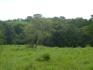 CHIRIQUI, BIJAGUAL, MOUNTAIN VIEW FARM.