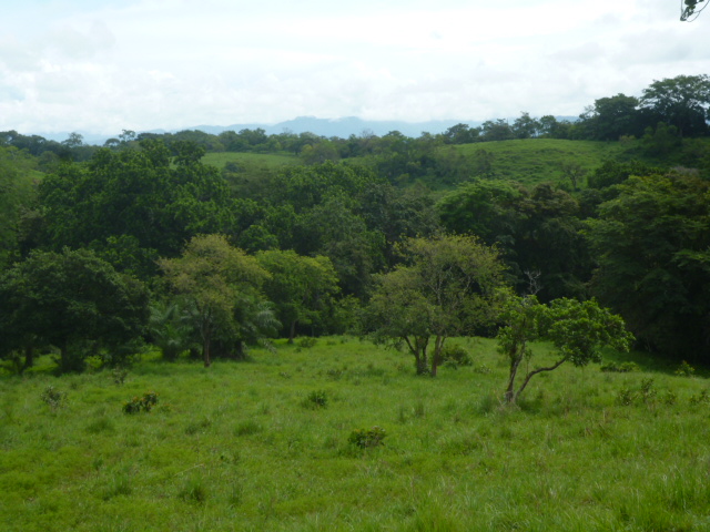 CHIRIQUI, BIJAGUAL, MOUNTAIN VIEW FARM.