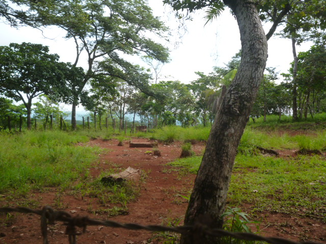 CHIRIQUI, BIJAGUAL, MOUNTAIN VIEW FARM.