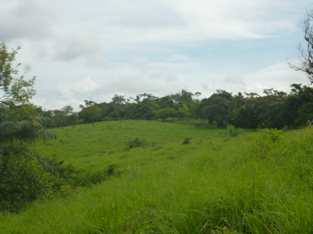 CHIRIQUI, BIJAGUAL, MOUNTAIN VIEW FARM.