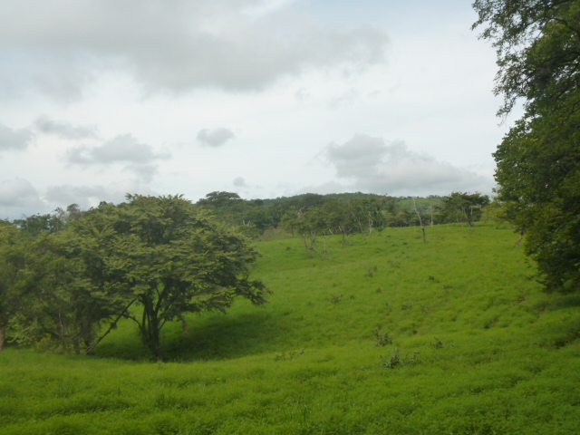 CHIRIQUI, BIJAGUAL, MOUNTAIN VIEW FARM.