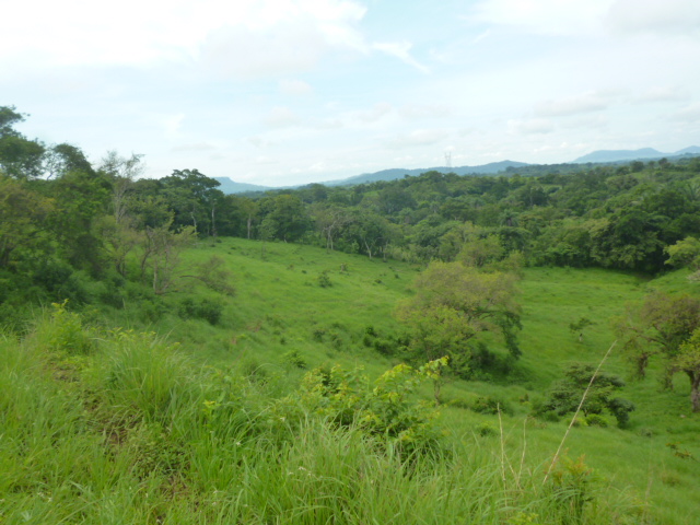 CHIRIQUI, BIJAGUAL, MOUNTAIN VIEW FARM.