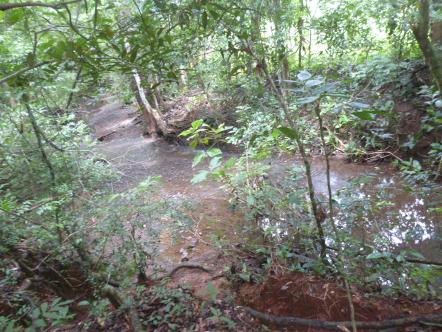 CHIRIQUI, BIJAGUAL, MOUNTAIN VIEW FARM.