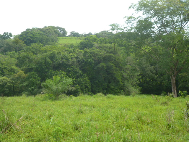 CHIRIQUI, BIJAGUAL, MOUNTAIN VIEW FARM.