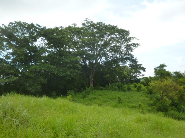 CHIRIQUI, BIJAGUAL, MOUNTAIN VIEW FARM.