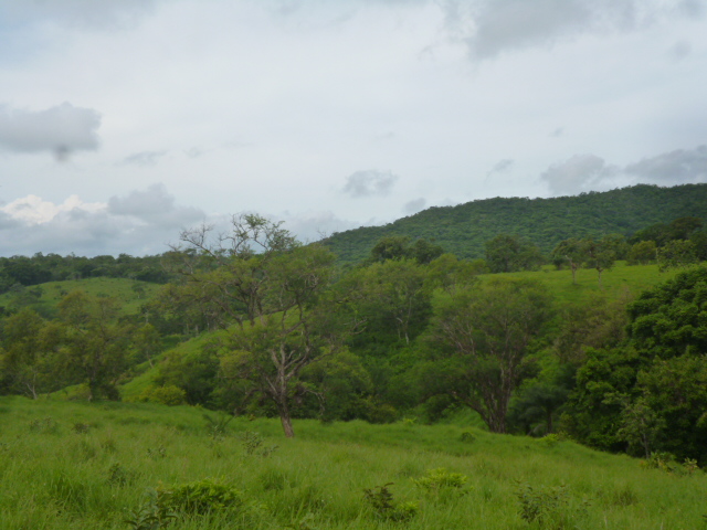 CHIRIQUI, BIJAGUAL, MOUNTAIN VIEW FARM.