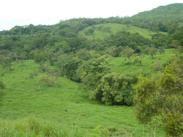 CHIRIQUI, BIJAGUAL, MOUNTAIN VIEW FARM.