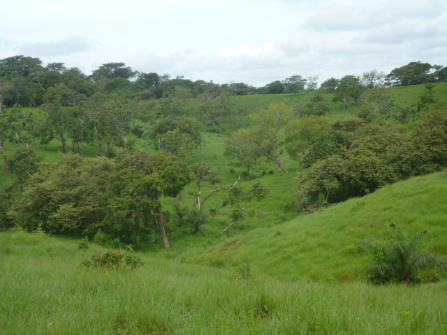 CHIRIQUI, BIJAGUAL, MOUNTAIN VIEW FARM.