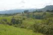 CHIRIQUI, RIVERFRONT FARM IN SAN FELIX.