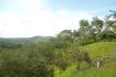 CHIRIQUI, RIVERFRONT FARM IN SAN FELIX.