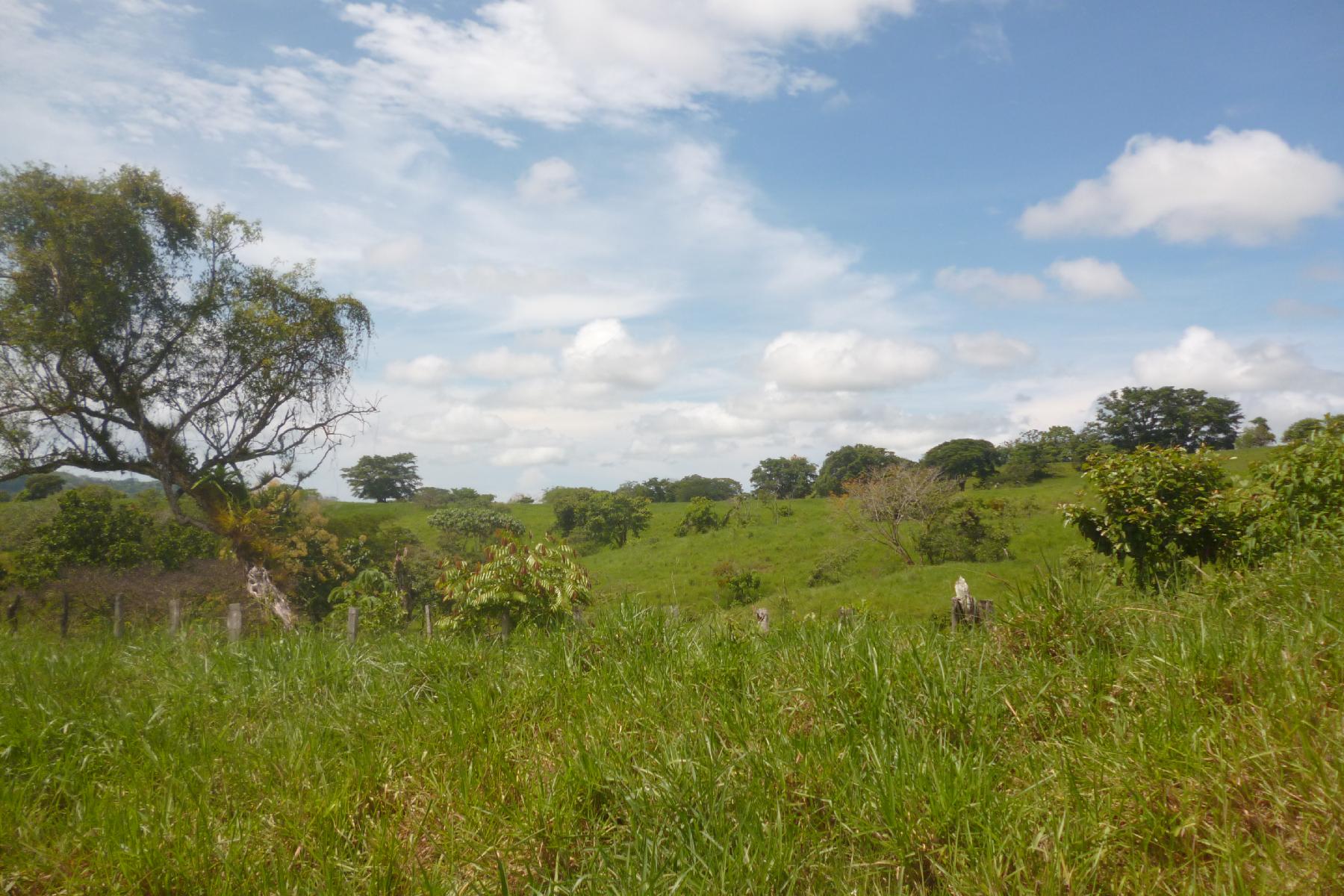 CHIRIQUI, RIVERFRONT FARM IN SAN FELIX.