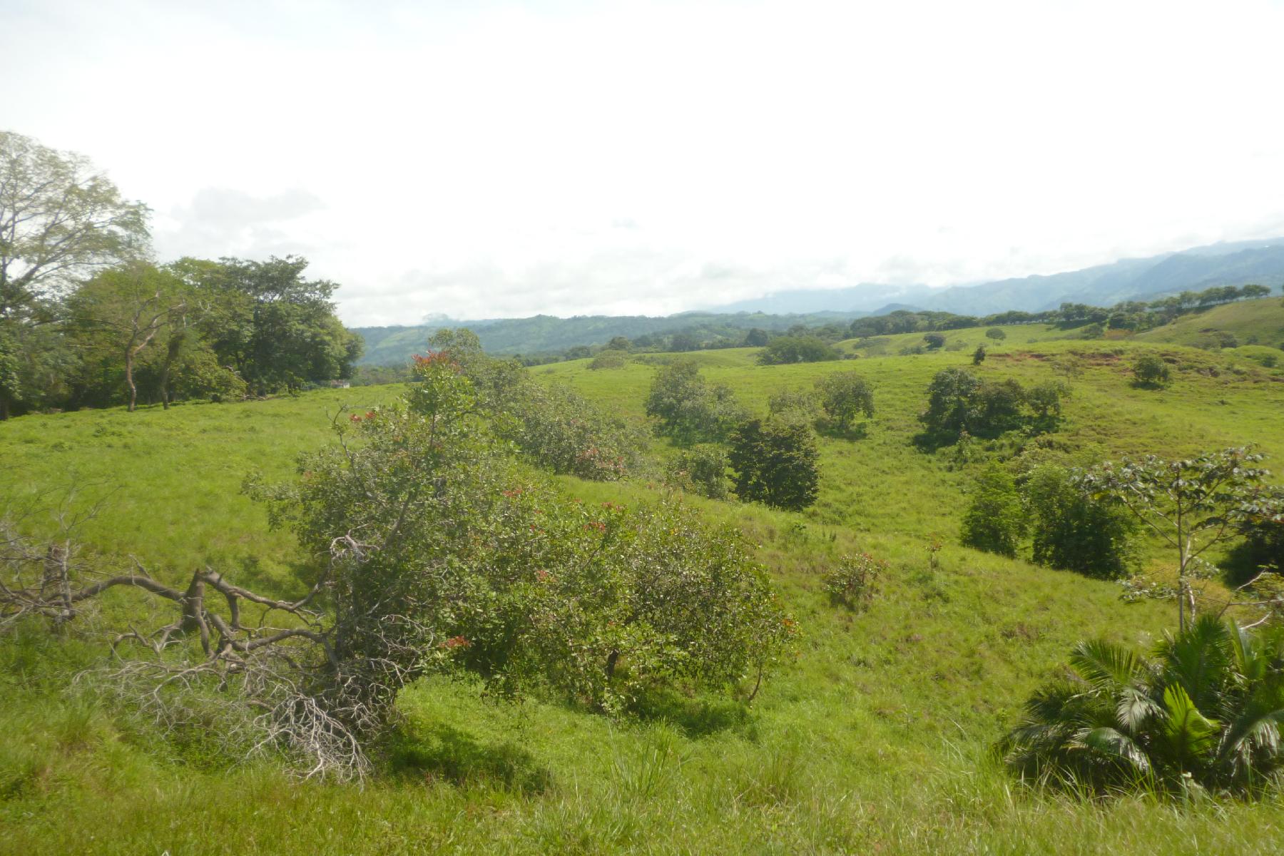 CHIRIQUI, RIVERFRONT FARM IN SAN FELIX.