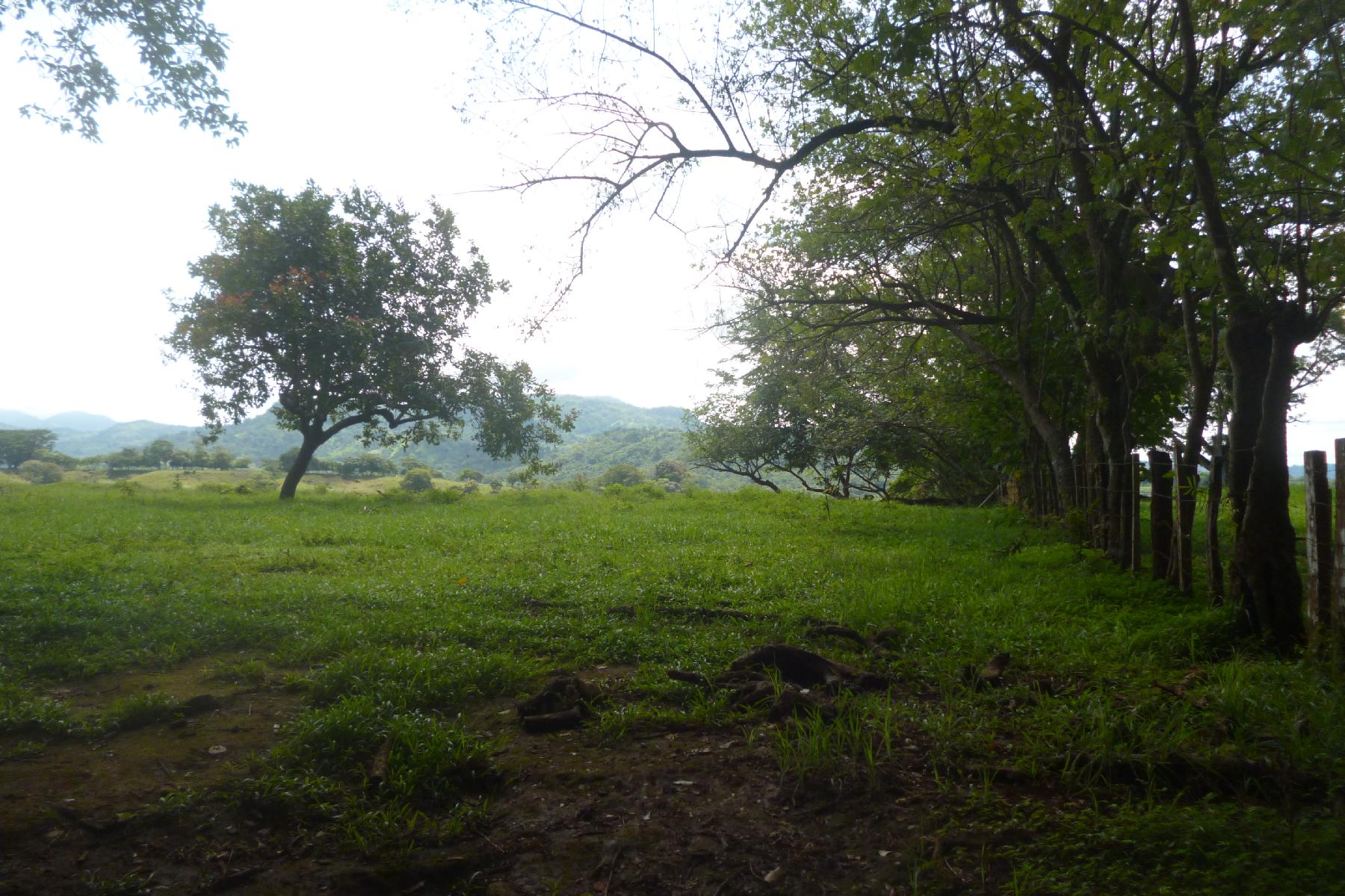 CHIRIQUI, RIVERFRONT FARM IN SAN FELIX.