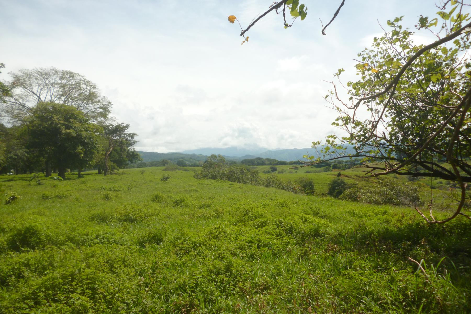 CHIRIQUI, RIVERFRONT FARM IN SAN FELIX.