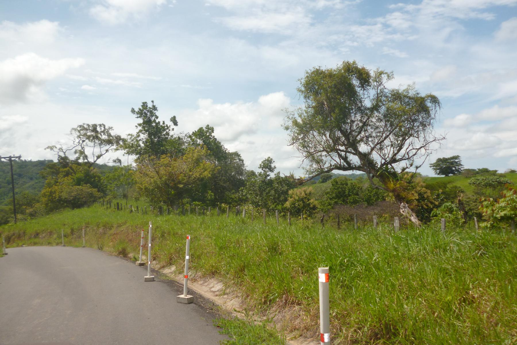 CHIRIQUI, RIVERFRONT FARM IN SAN FELIX.