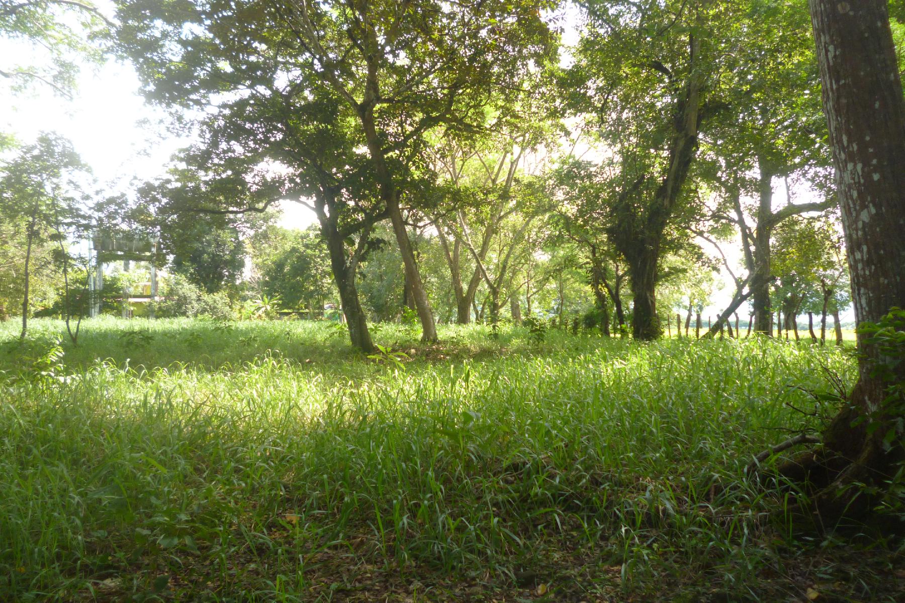 CHIRIQUI, RIVERFRONT FARM IN SAN FELIX.