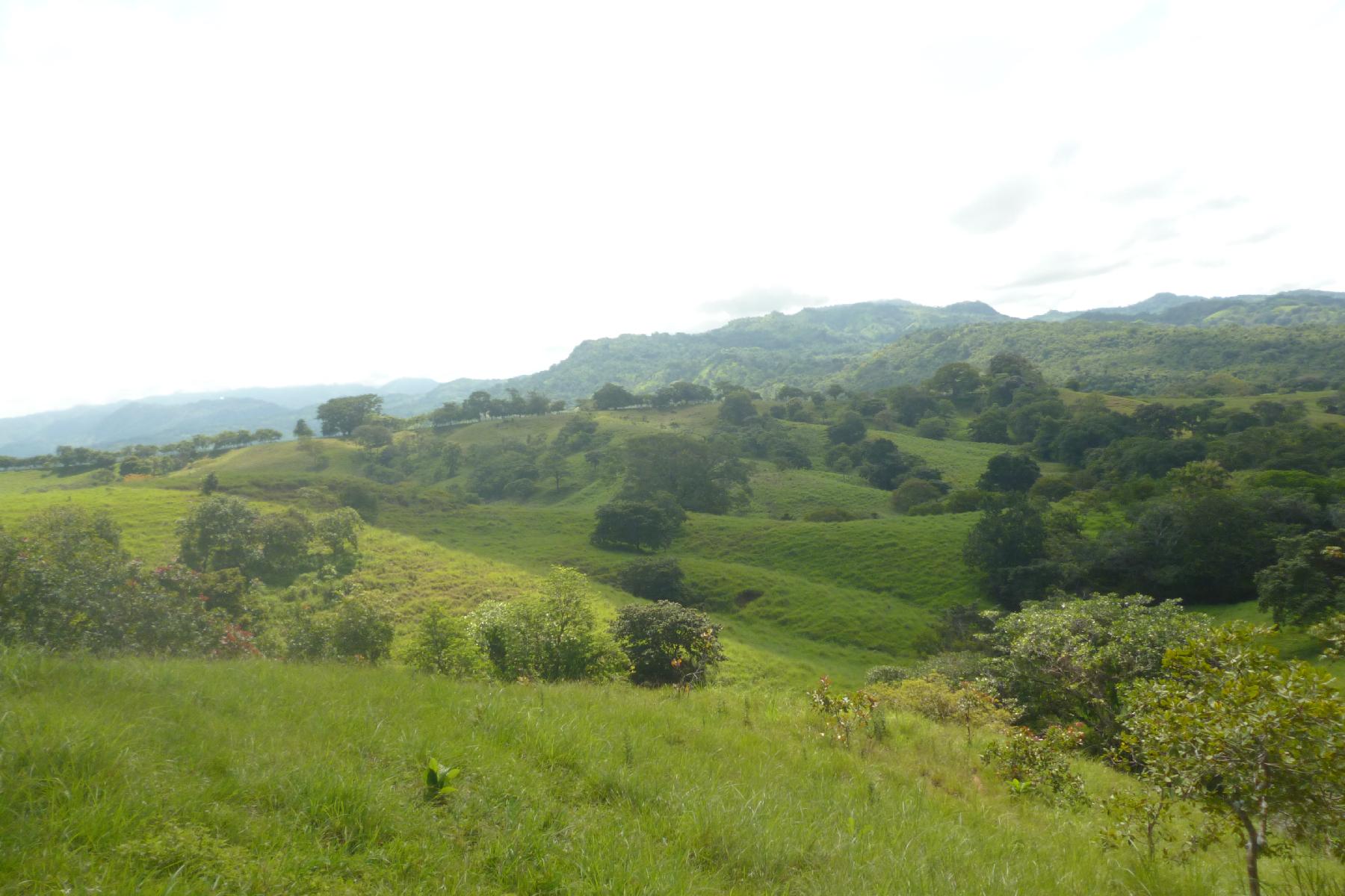 CHIRIQUI, RIVERFRONT FARM IN SAN FELIX.