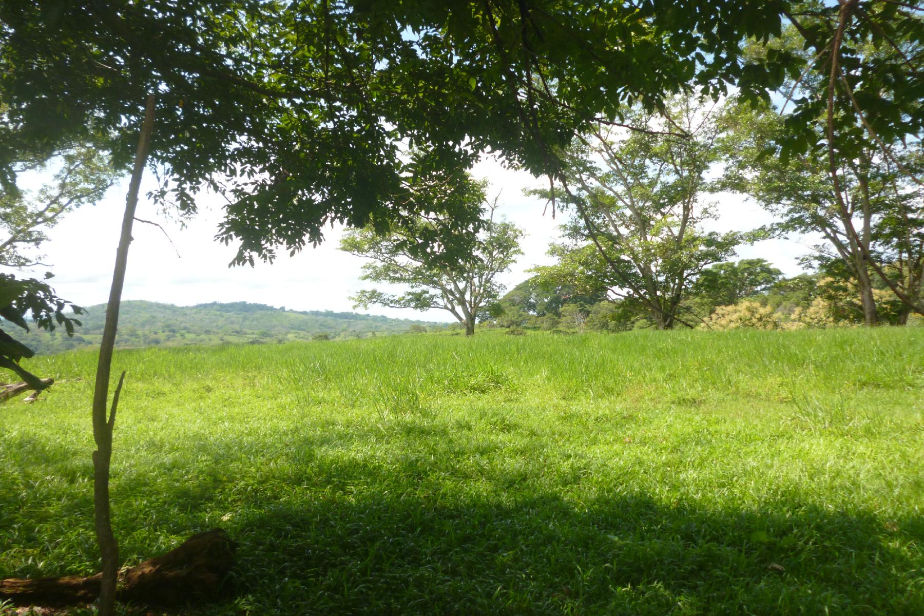 CHIRIQUI, RIVERFRONT FARM IN SAN FELIX.