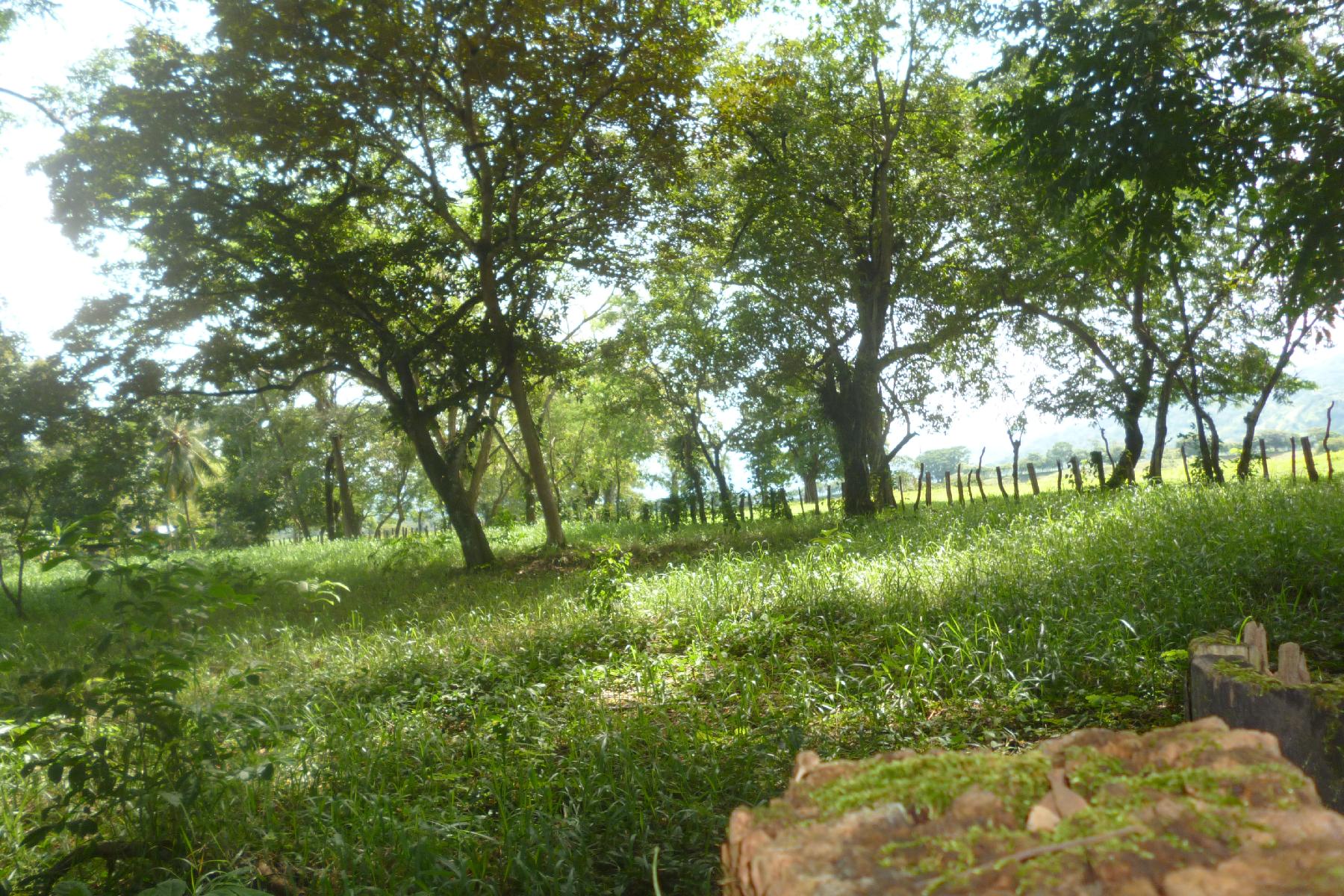 CHIRIQUI, RIVERFRONT FARM IN SAN FELIX.