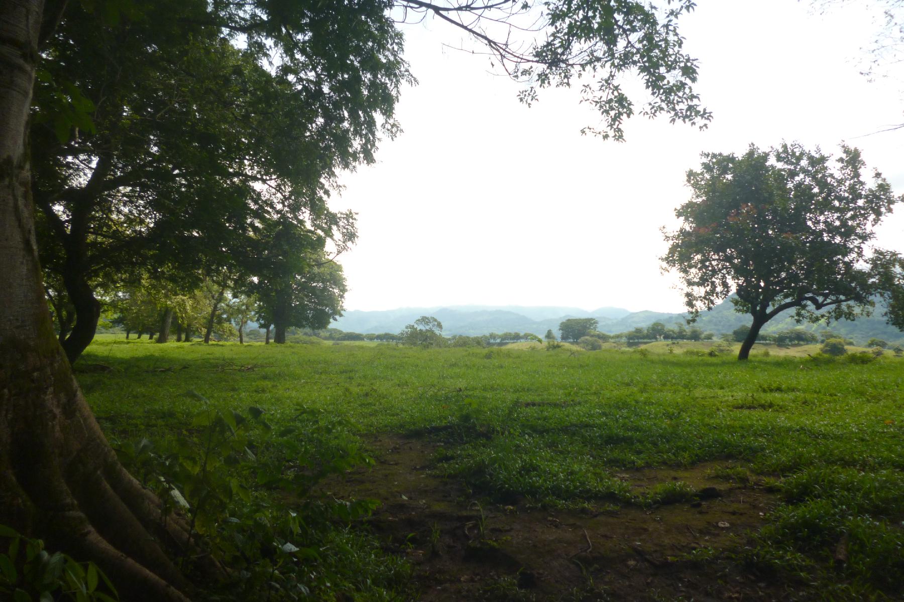 CHIRIQUI, RIVERFRONT FARM IN SAN FELIX.