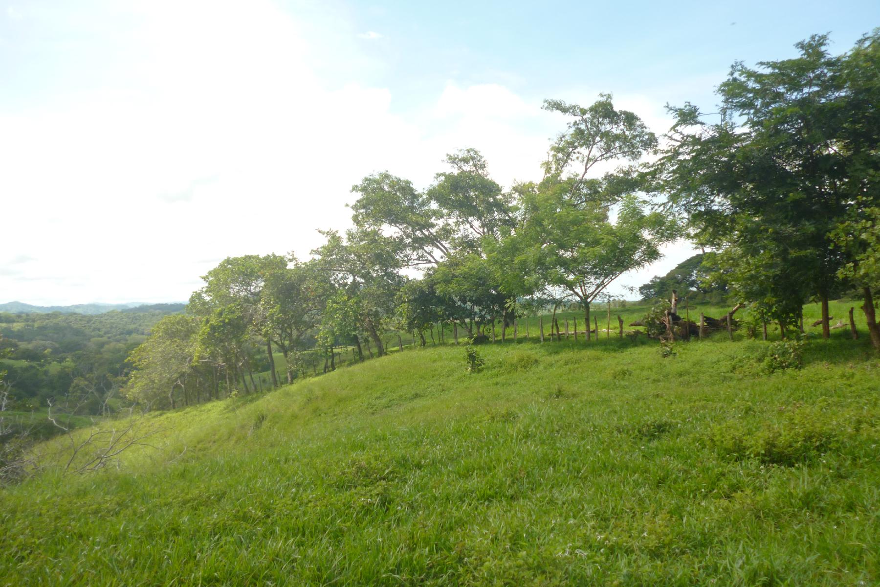 CHIRIQUI, RIVERFRONT FARM IN SAN FELIX.