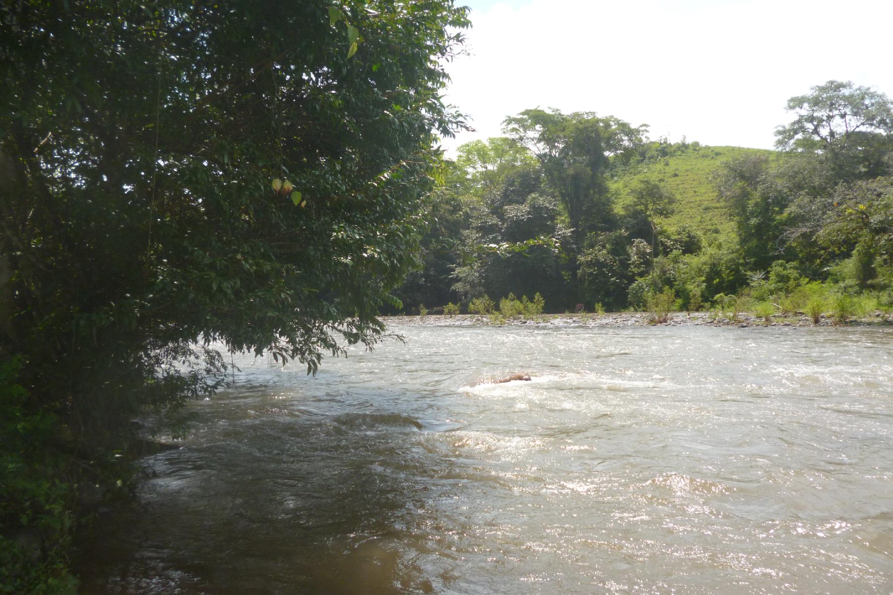 CHIRIQUI, RIVERFRONT FARM IN SAN FELIX.