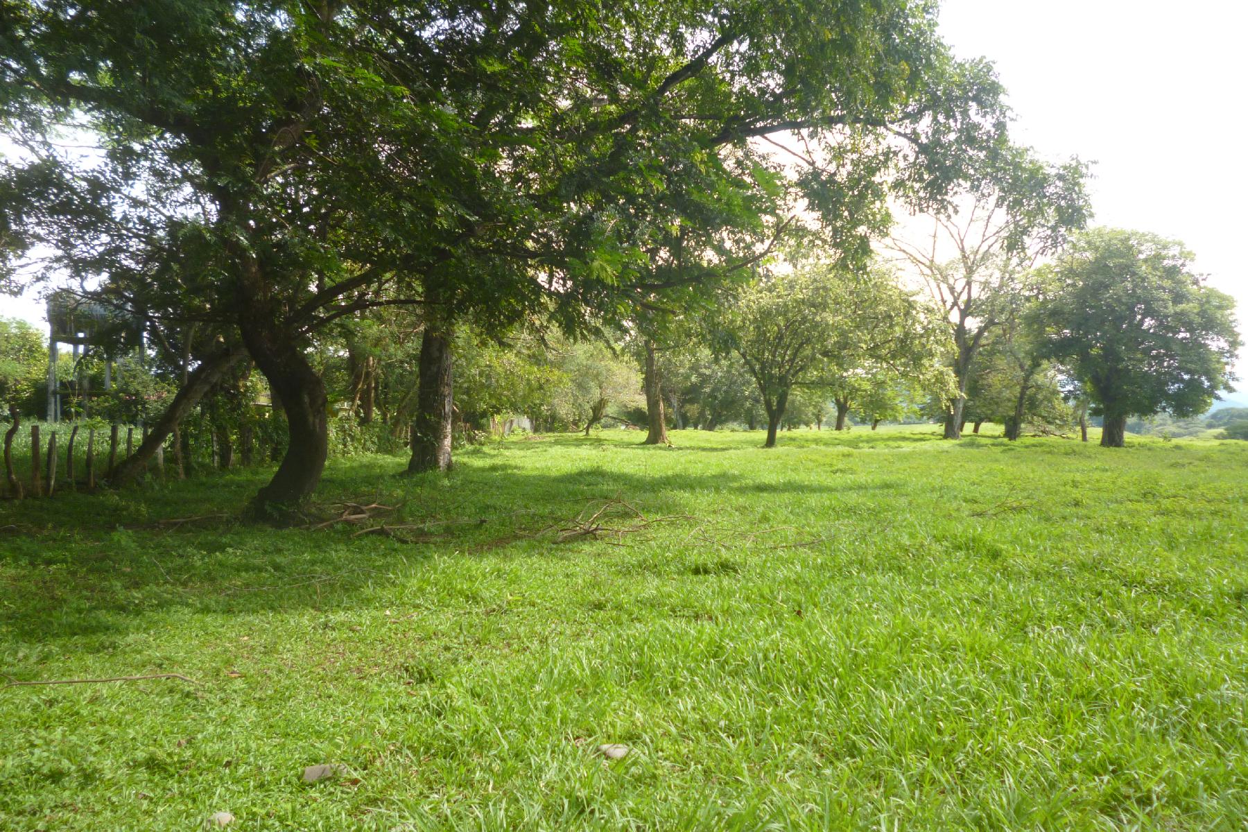 CHIRIQUI, RIVERFRONT FARM IN SAN FELIX.