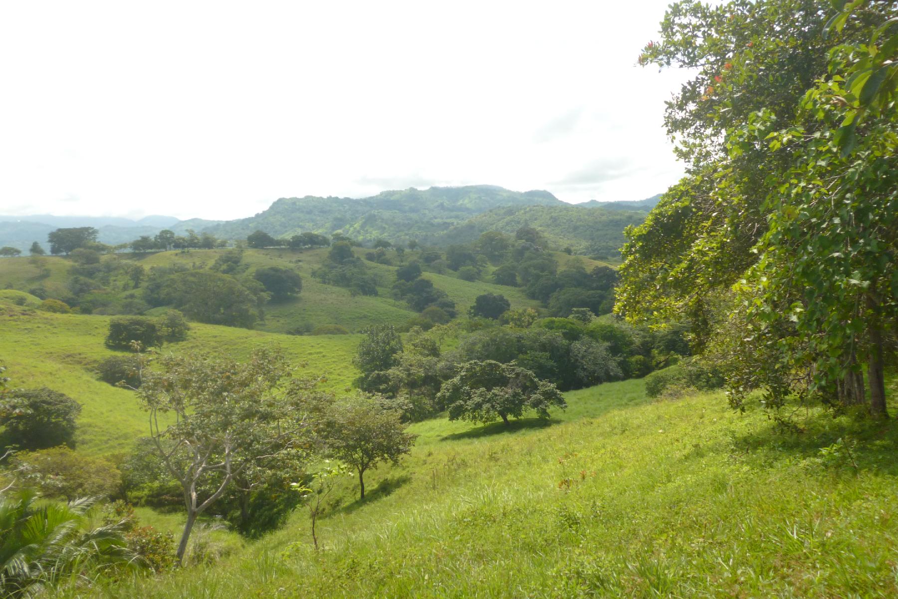 CHIRIQUI, RIVERFRONT FARM IN SAN FELIX.