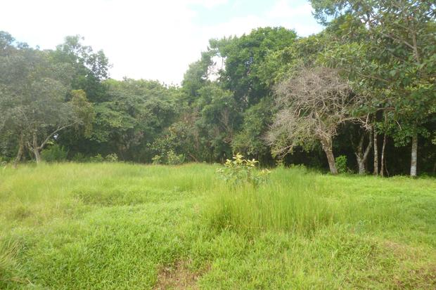 CHIRIQUI, BOQUERON, FARM IN MACANO.