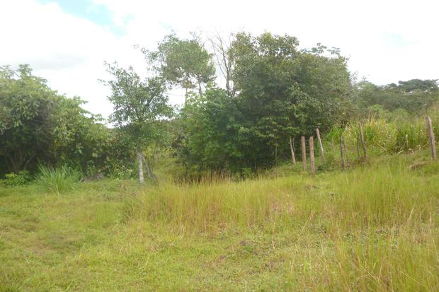 CHIRIQUI, BOQUERON, FARM IN MACANO.