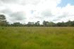 CHIRIQUI, BOQUERON, FARM IN MACANO.