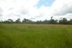 CHIRIQUI, BOQUERON, FARM IN MACANO.