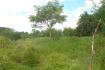 CHIRIQUI, BOQUERON, FARM IN MACANO.