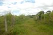 CHIRIQUI, BOQUERON, FARM IN MACANO.