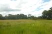 CHIRIQUI, BOQUERON, FARM IN MACANO.