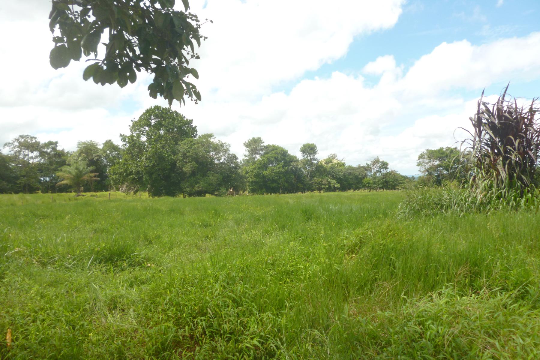 CHIRIQUI, BOQUERON, FARM IN MACANO.