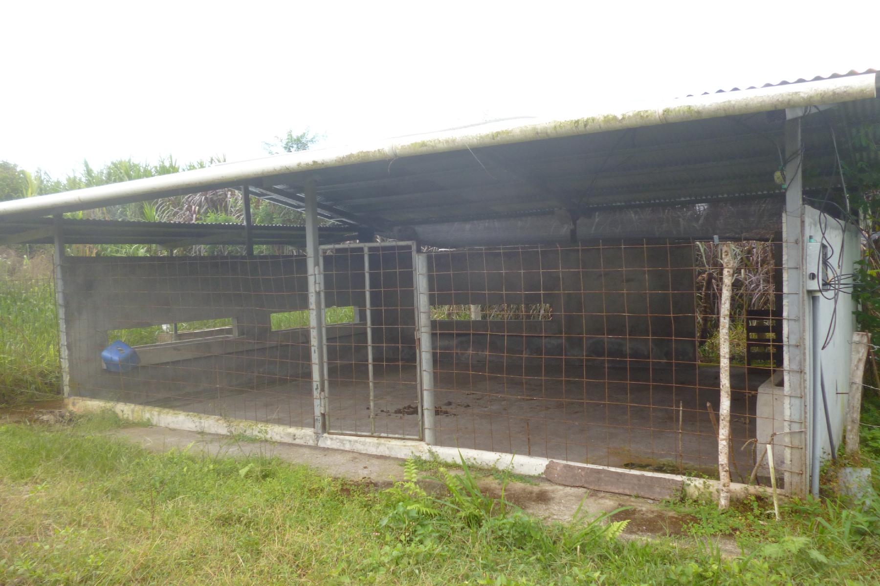 CHIRIQUI, BOQUERON, FARM IN MACANO.