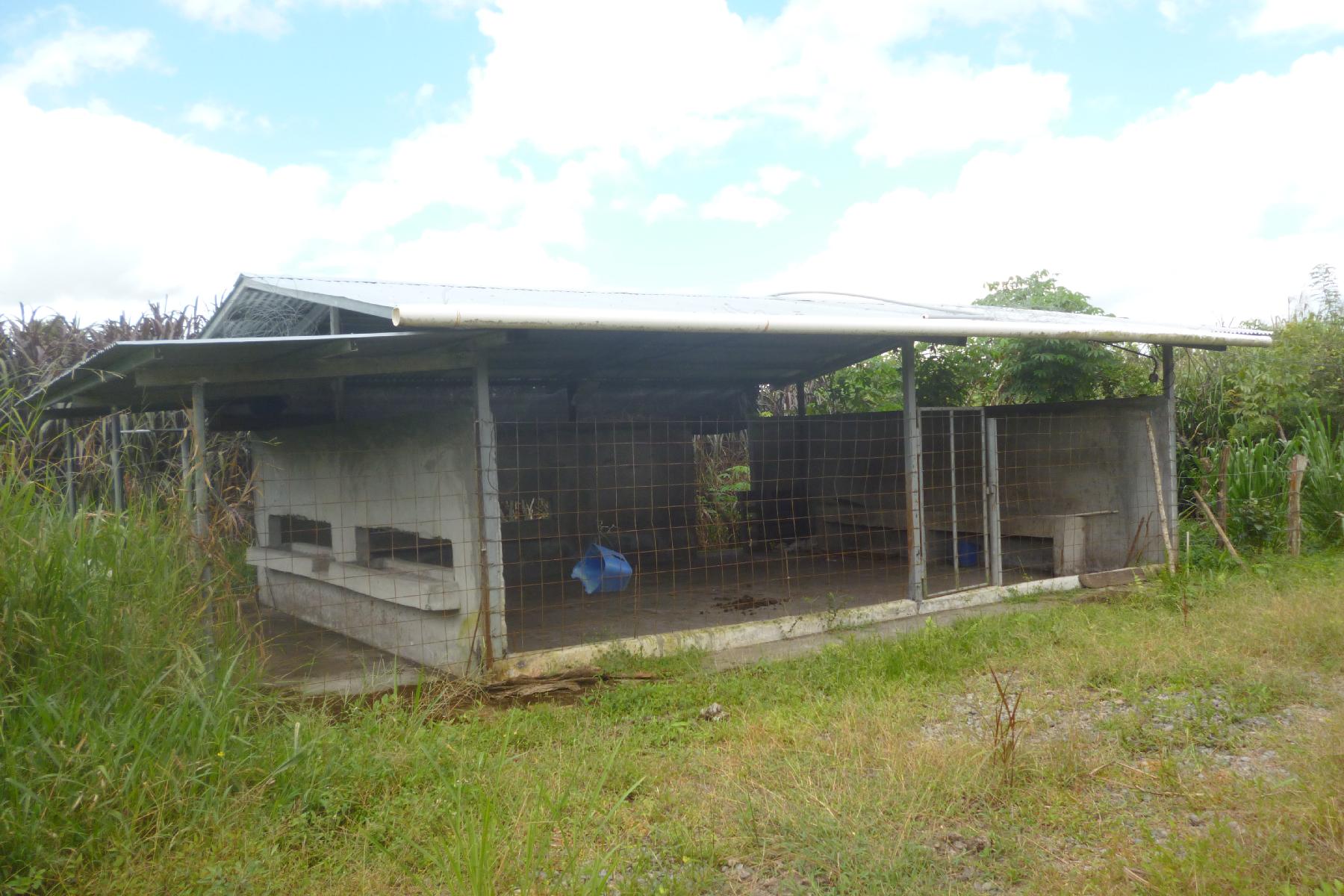 CHIRIQUI, BOQUERON, FARM IN MACANO.