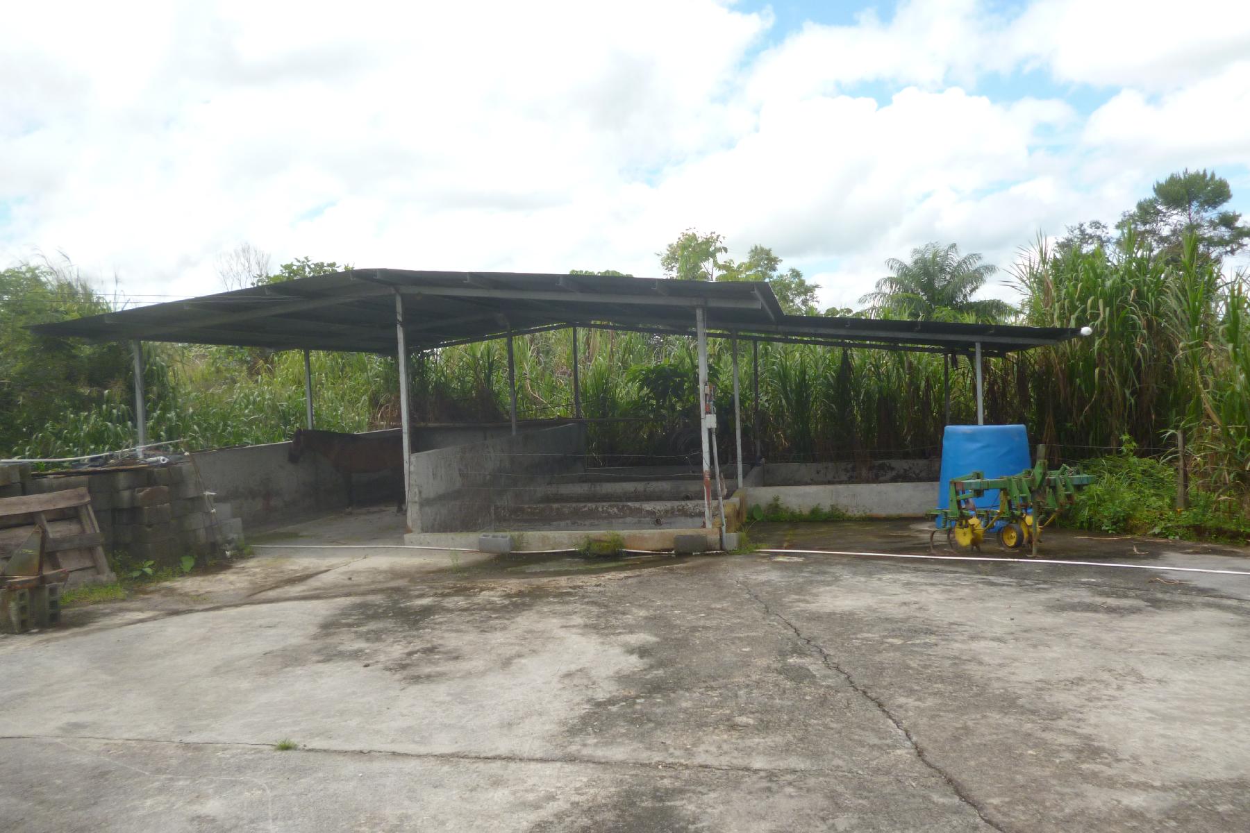 CHIRIQUI, BOQUERON, FARM IN MACANO.