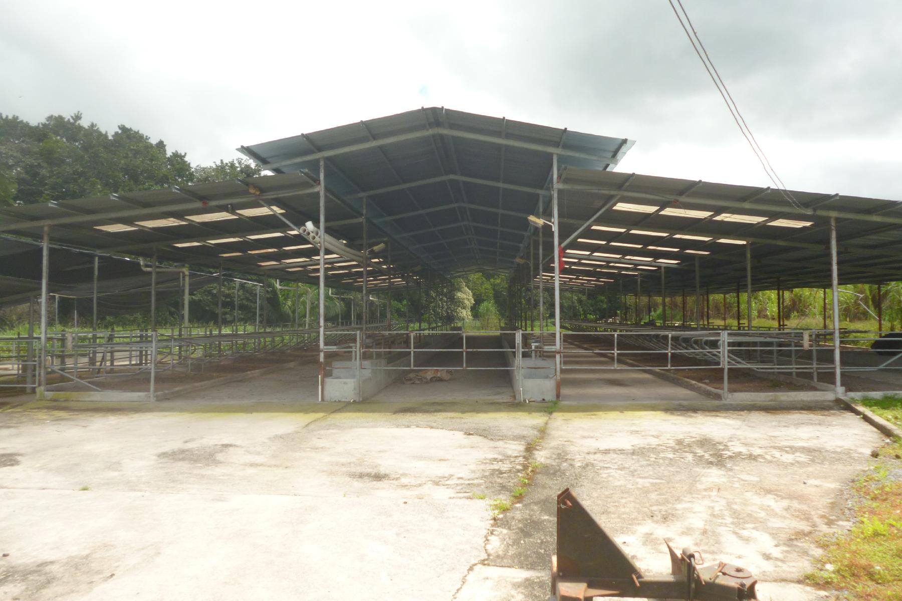 CHIRIQUI, BOQUERON, FARM IN MACANO.