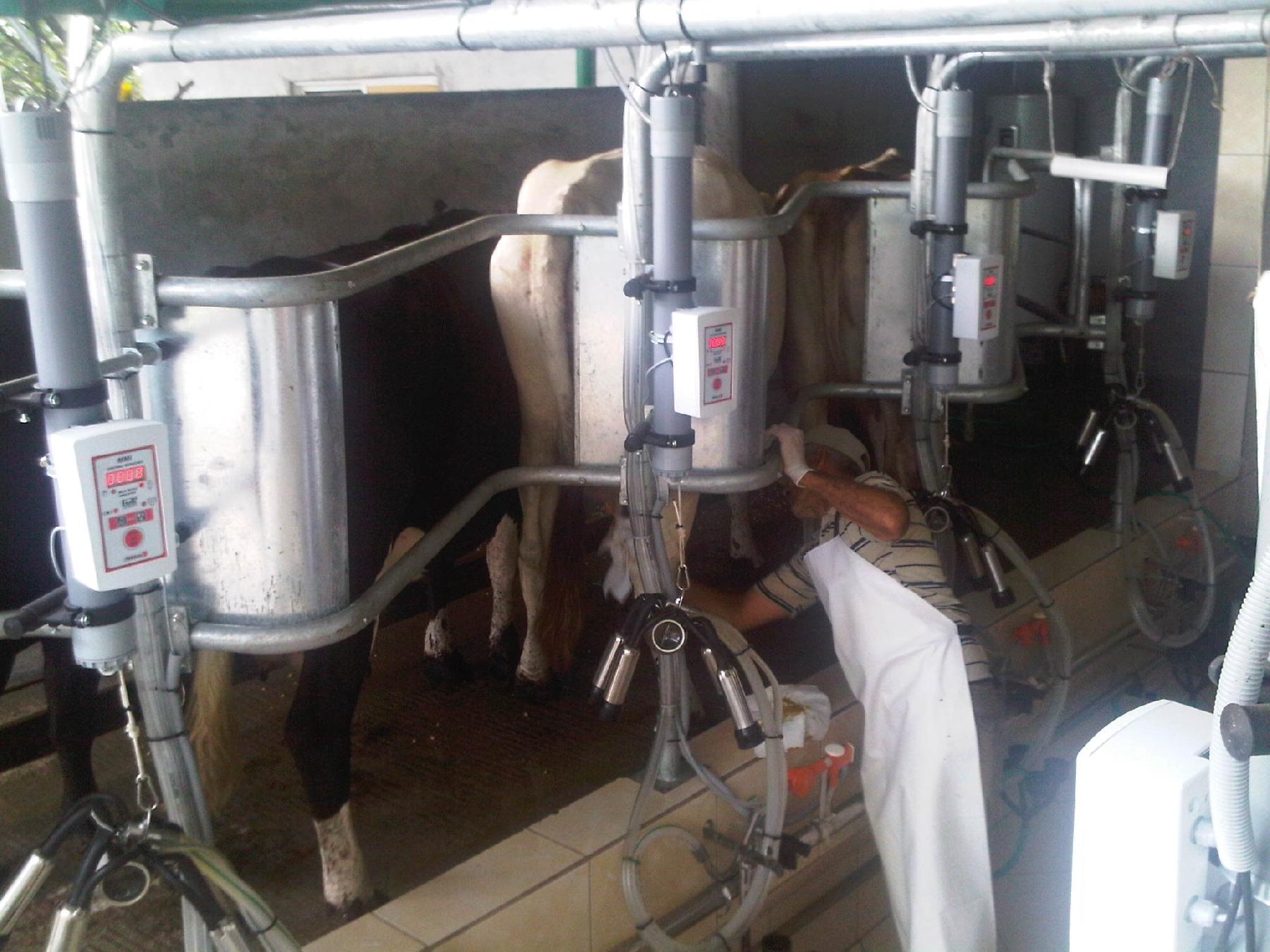 CHIRIQUI, BOQUERON, FARM IN MACANO.