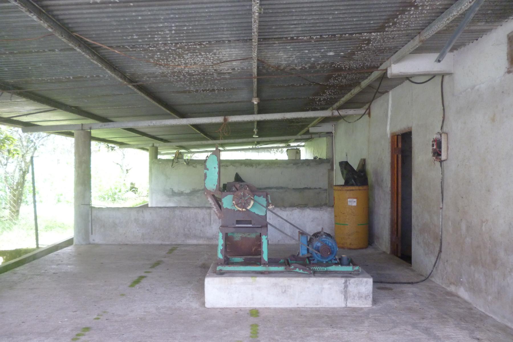 CHIRIQUI, BOQUERON, FARM IN MACANO.