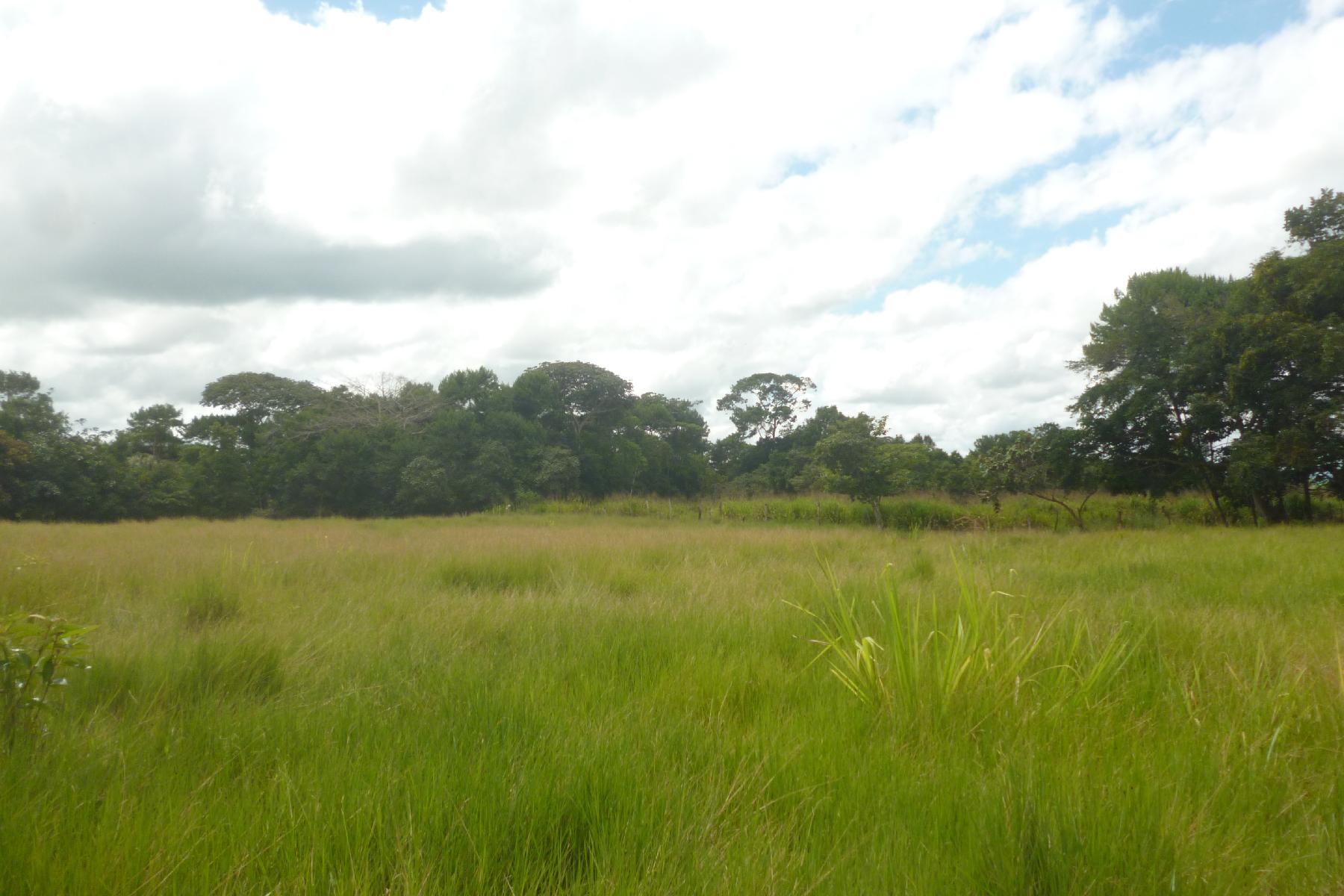 CHIRIQUI, BOQUERON, FARM IN MACANO.