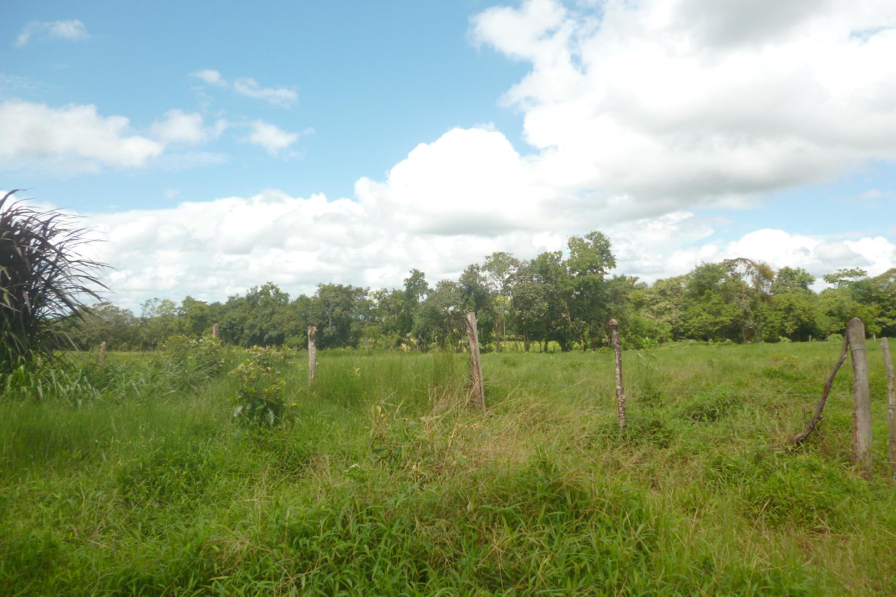 CHIRIQUI, BOQUERON, FARM IN MACANO.