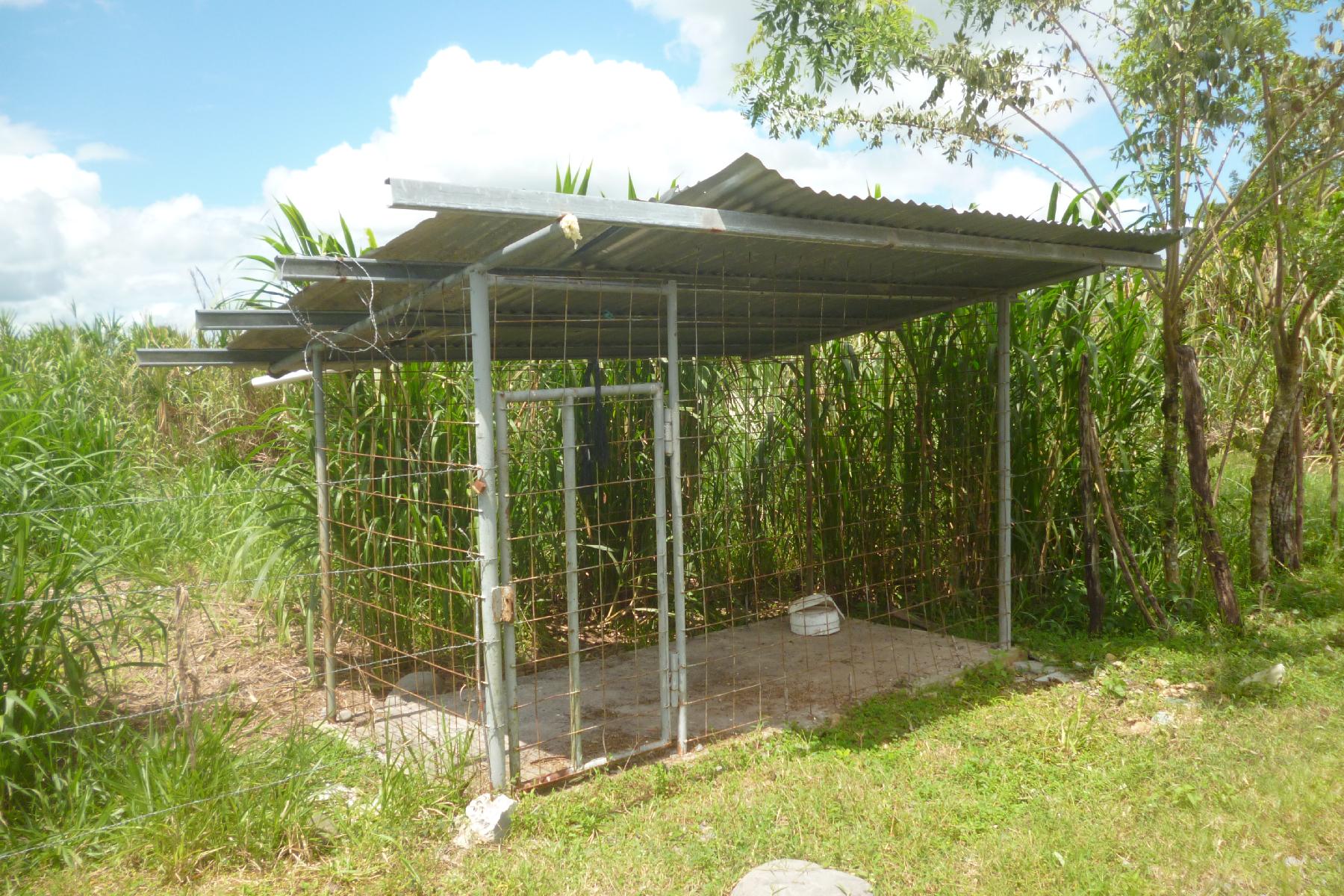 CHIRIQUI, BOQUERON, FARM IN MACANO.